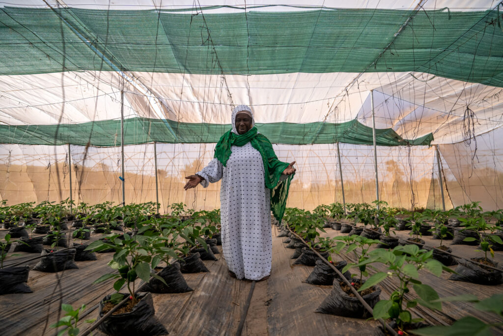 Sécurité alimentaire et nutrition : des actions qui protègent les familles