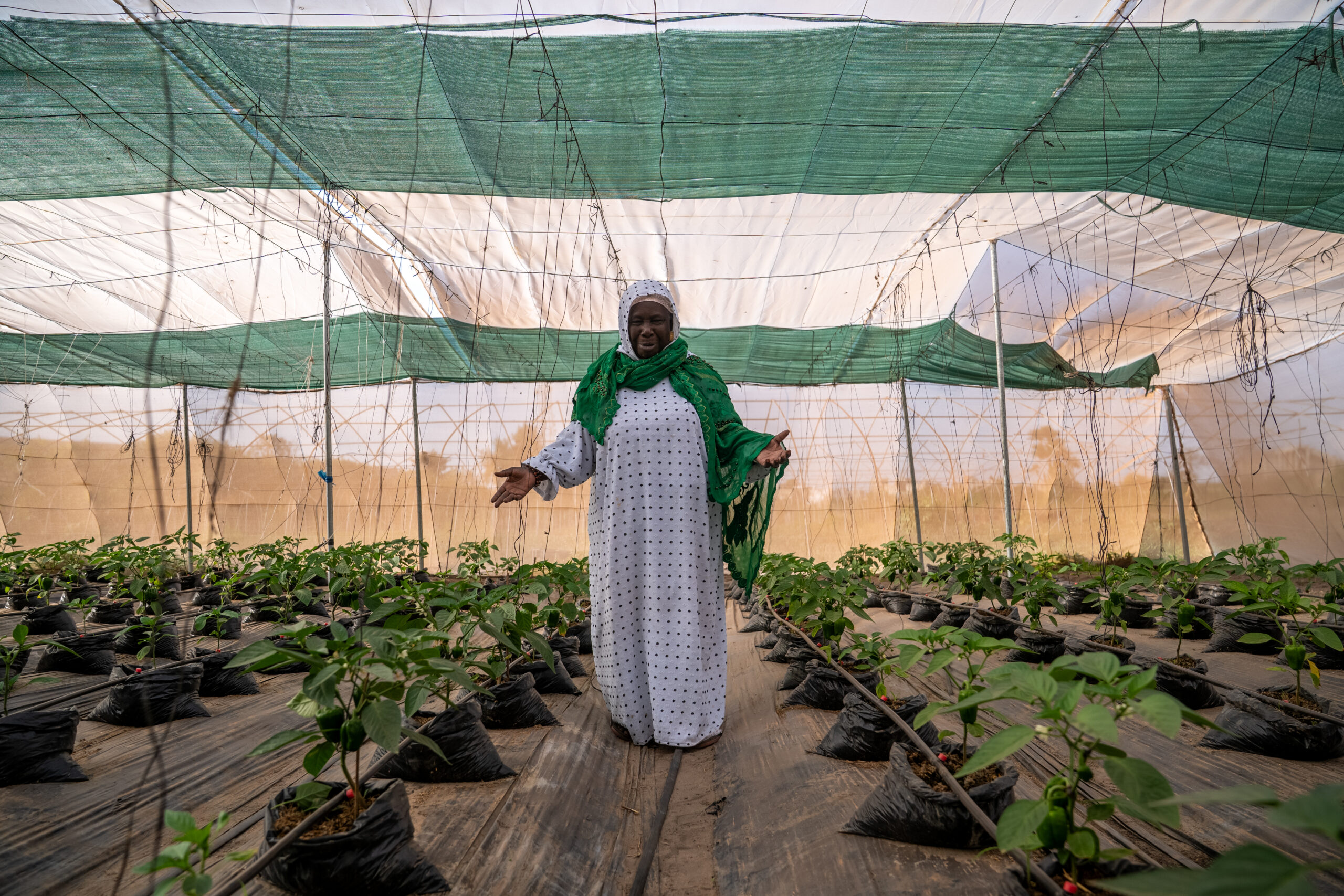 Sécurité alimentaire et nutrition : des actions qui protègent les familles