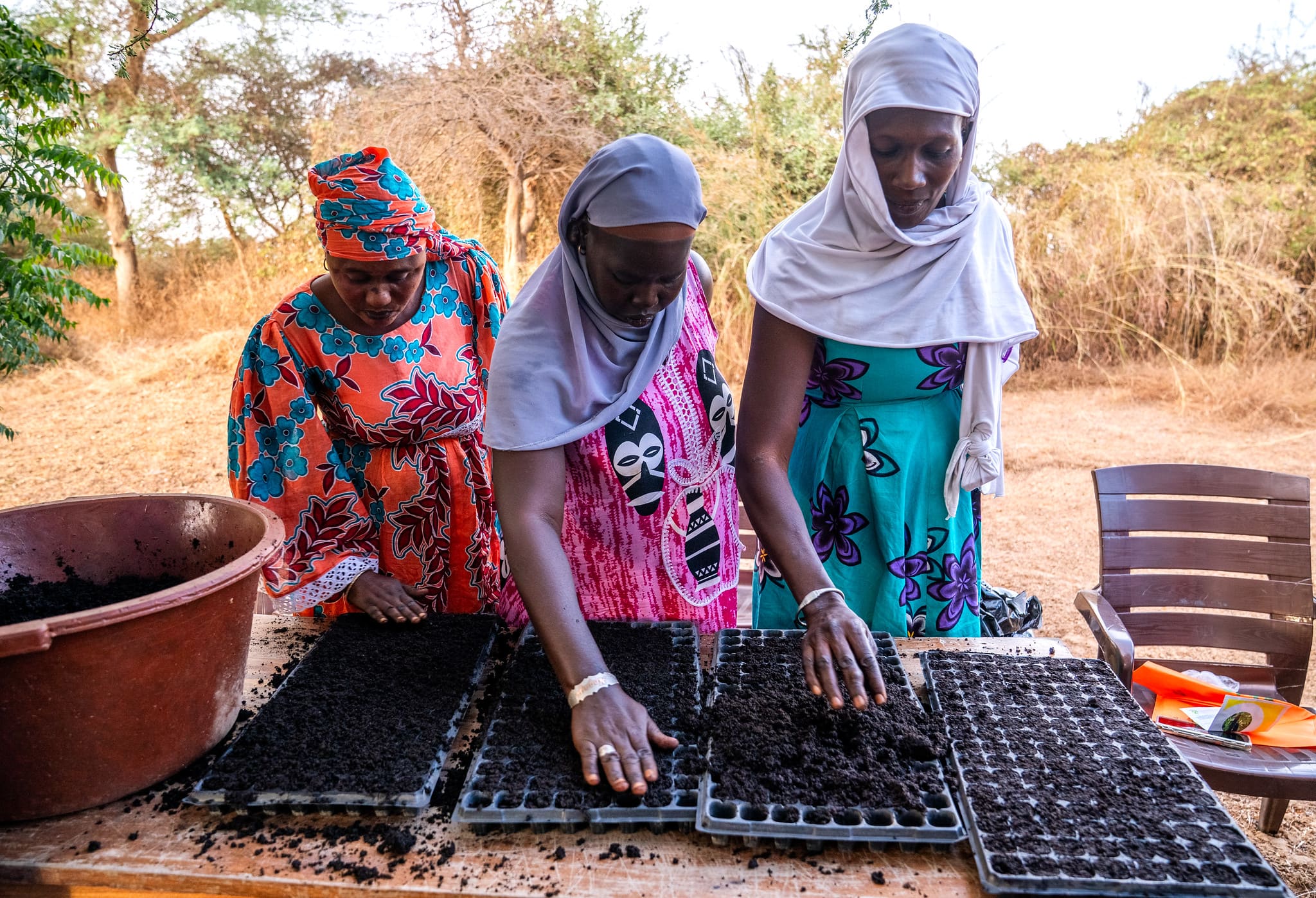 Women’s entrepreneurship in rural areas: moving from activity to stability