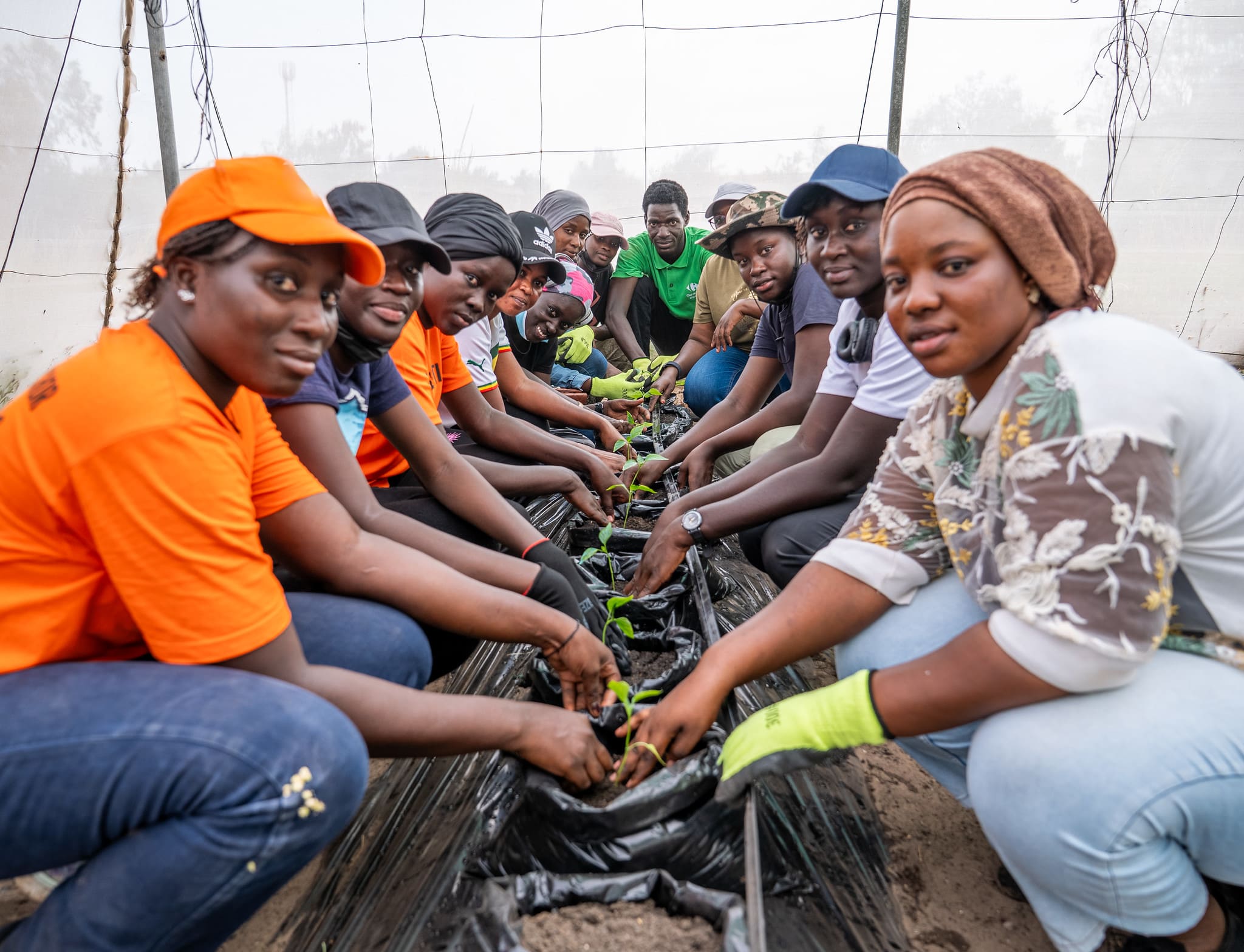 Agriculture résiliente au climat : produire toute l’année, même quand le climat change