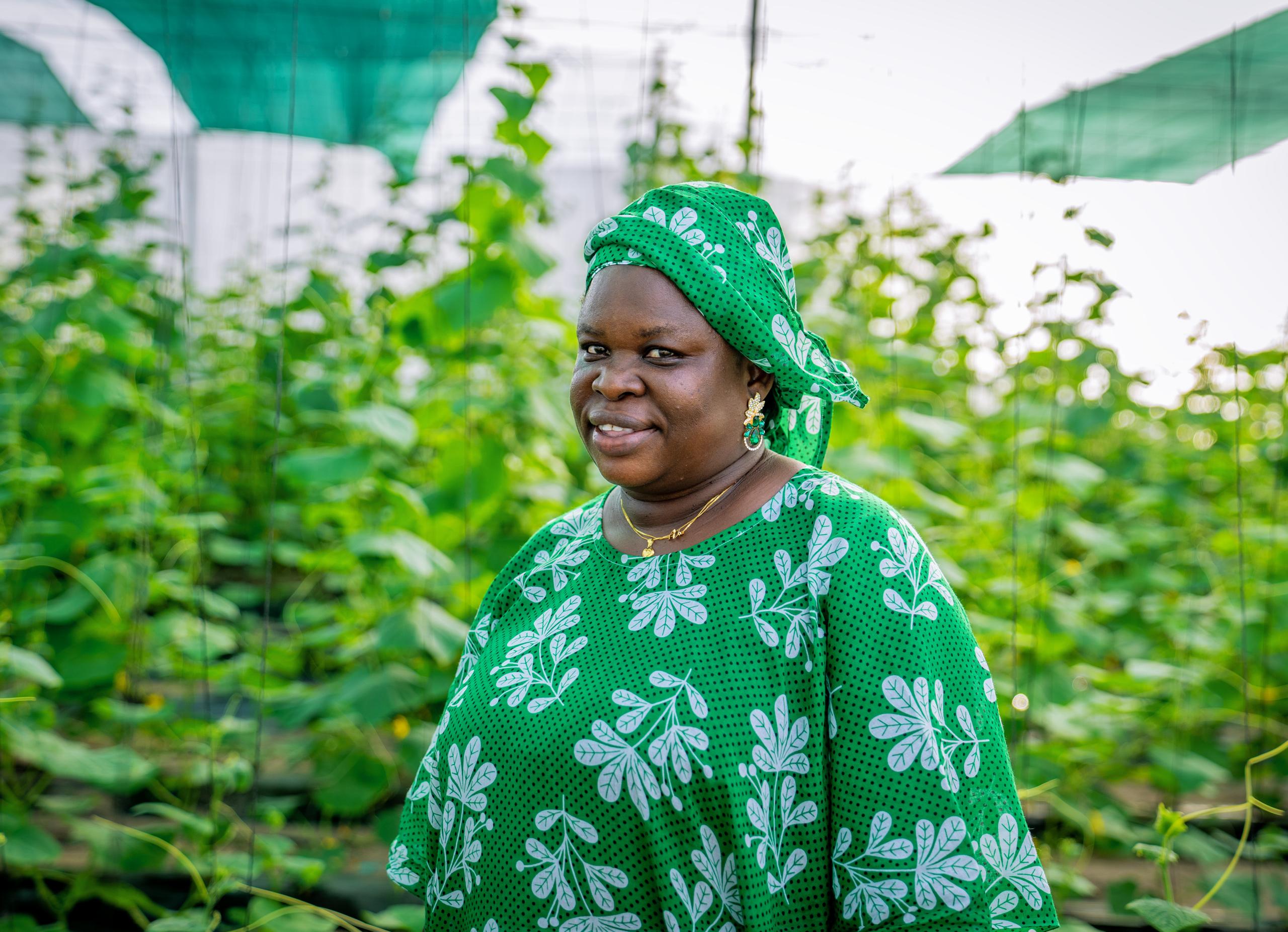 Food security and nutrition: greenhouses for women economic empowerment